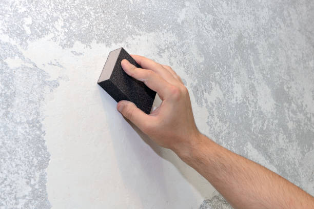 Best Mold Remediation for Healthcare Facilities  in South Uniontown, PA