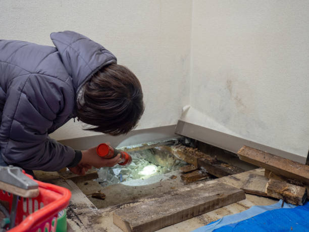 Best Real Estate Mold Inspection  in South Uniontown, PA