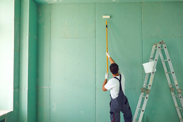 Best Mold Damage Restoration  in South Uniontown, PA