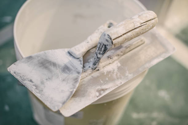 Best Attic Mold Removal  in South Uniontown, PA
